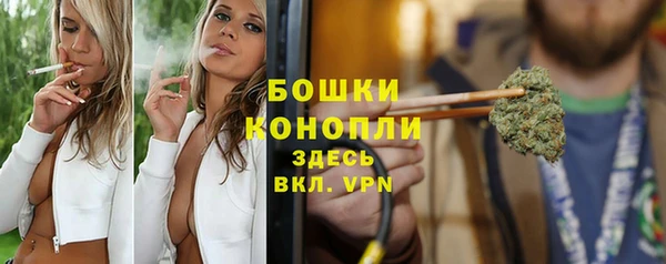 mix Богородск