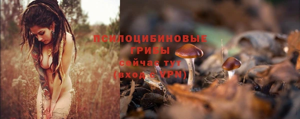 герыч Богданович