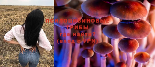 mix Богородск