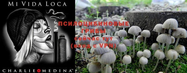 гашиш Богородицк