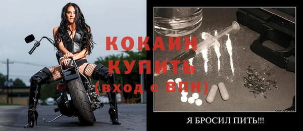 mix Богородск